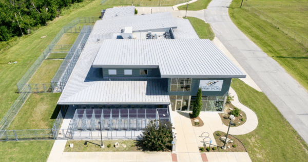 Buckley Roofing Wellington Humane Society Kansas (2)